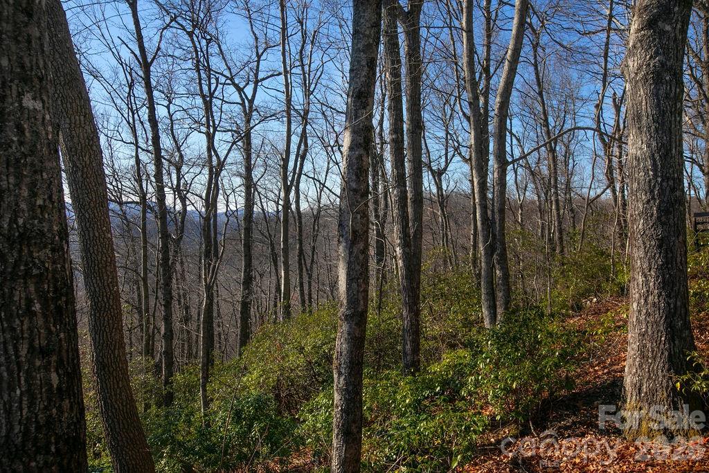 Tbd Oak Ridge Road Rosman NC 28772