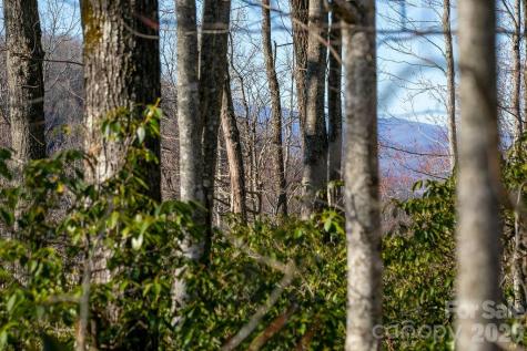 Tbd Oak Ridge Road Rosman NC 28772