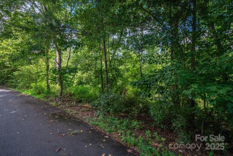 Lot 32 Line Drive Forest City NC 28043