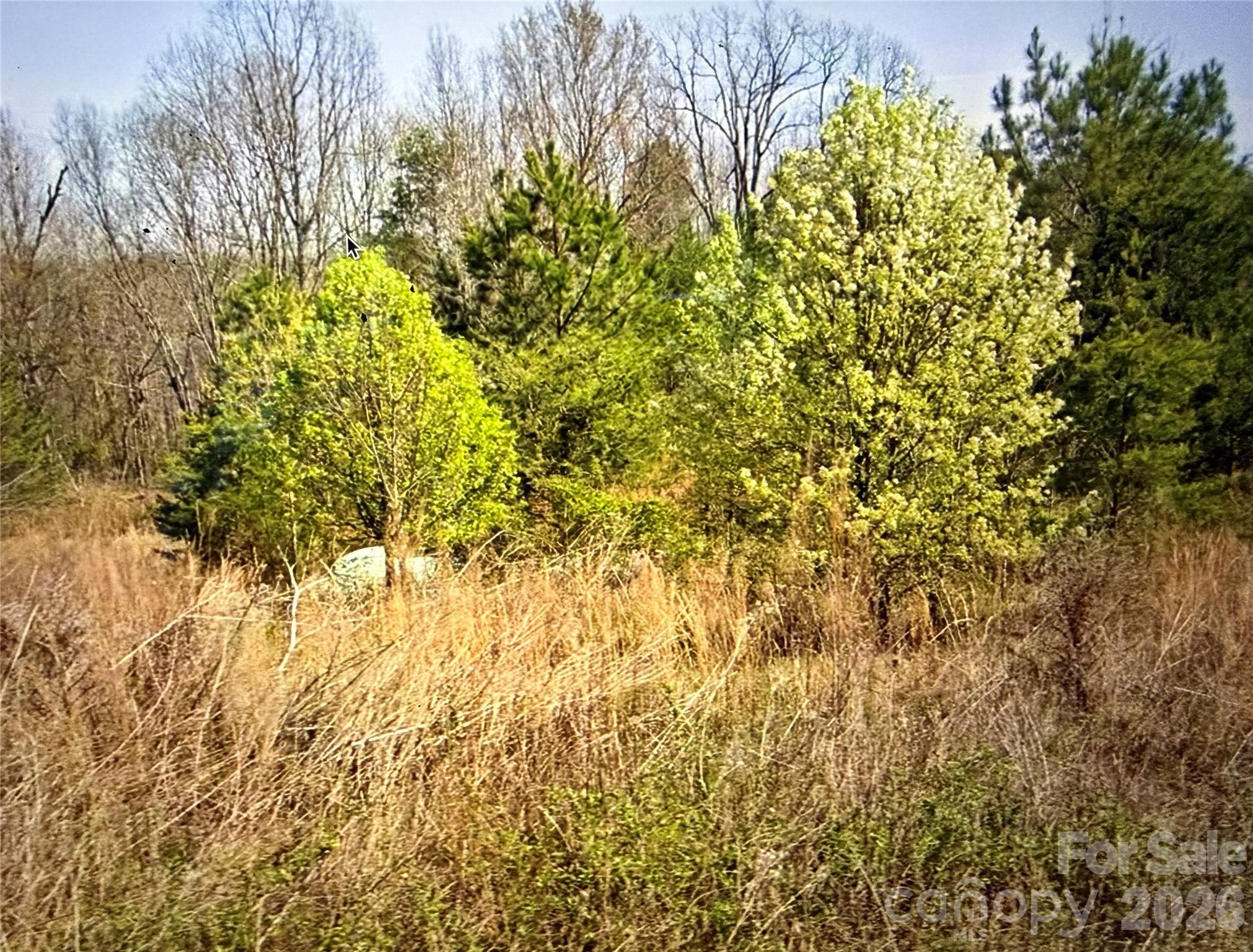 218 Jesse Mountain Road Casar NC 28020