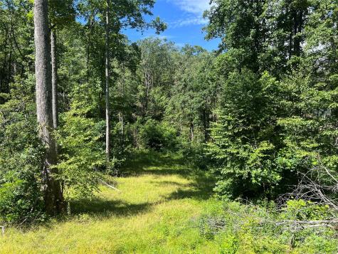 100 Mountain Field Lane Burnsville NC 28714