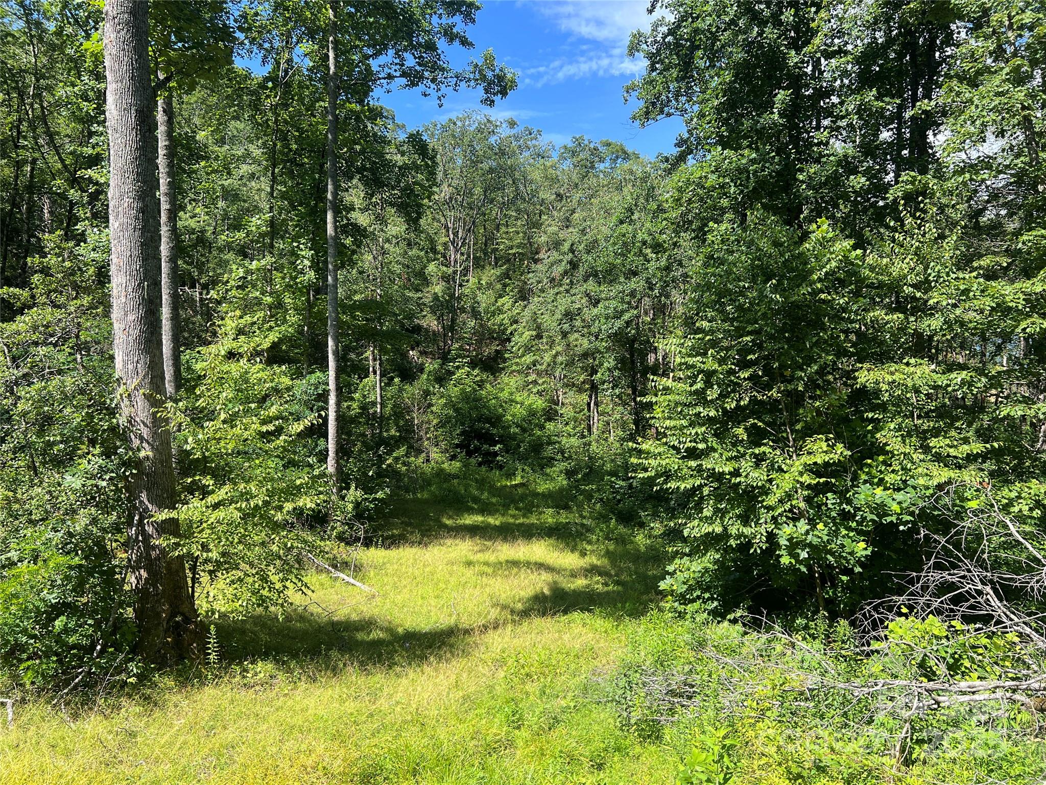 100 Mountain Field Lane Burnsville NC 28714