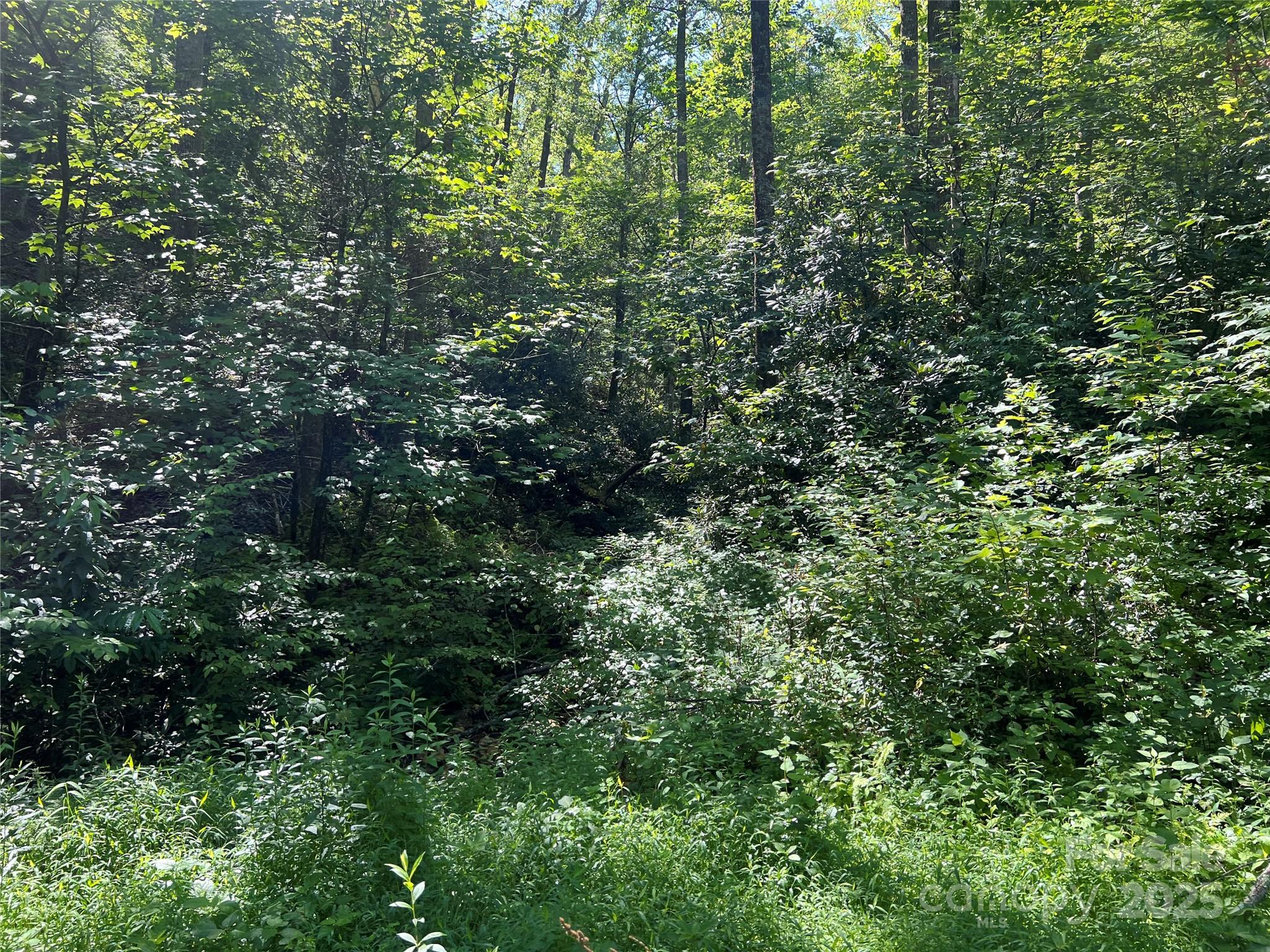 100 Mountain Field Lane Burnsville NC 28714