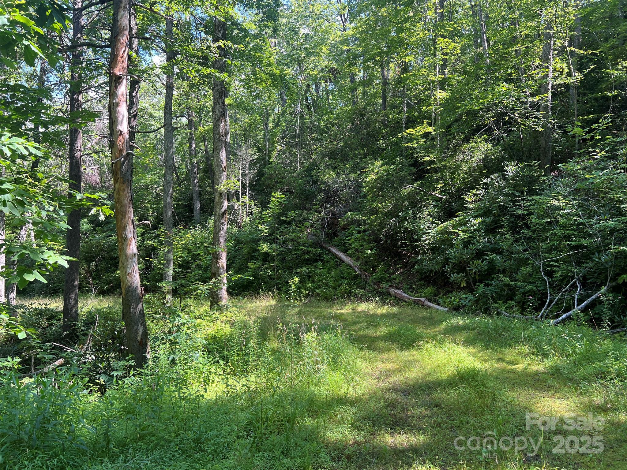 100 Mountain Field Lane Burnsville NC 28714