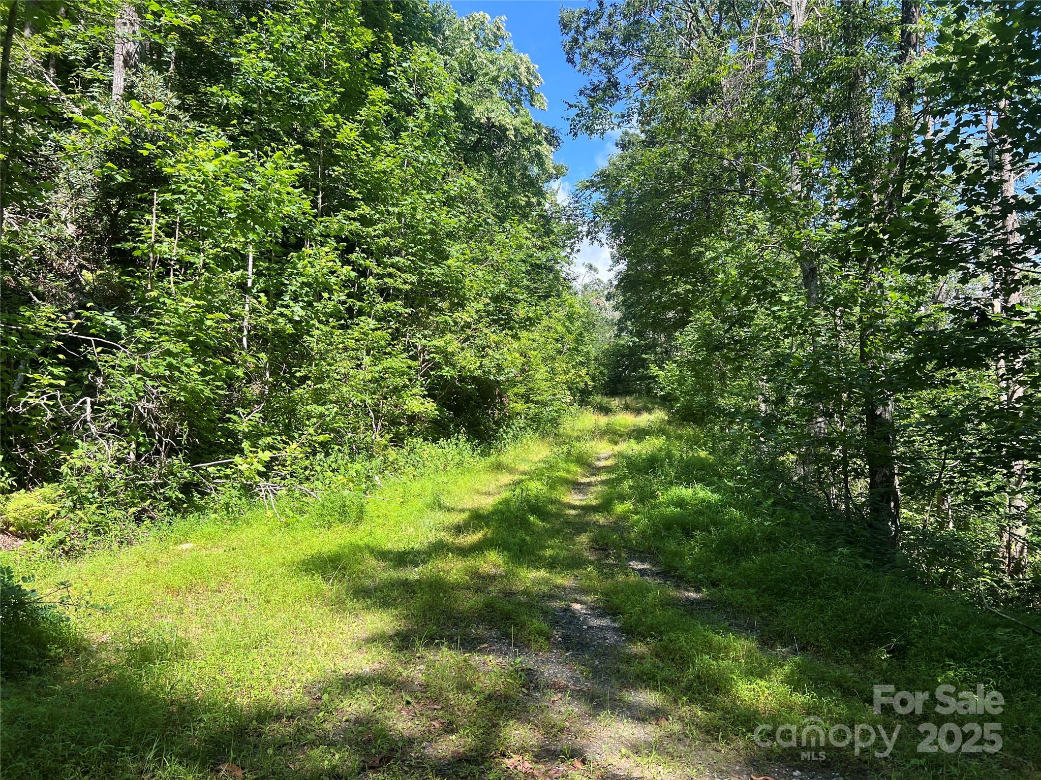 100 Mountain Field Lane Burnsville NC 28714