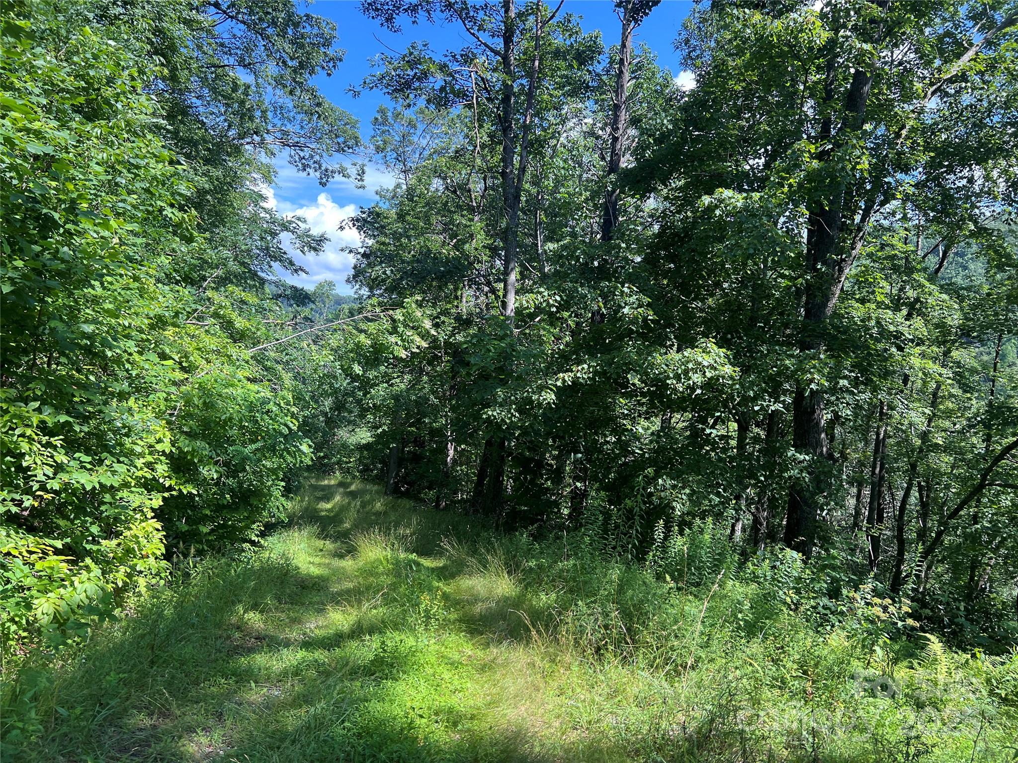 100 Mountain Field Lane Burnsville NC 28714