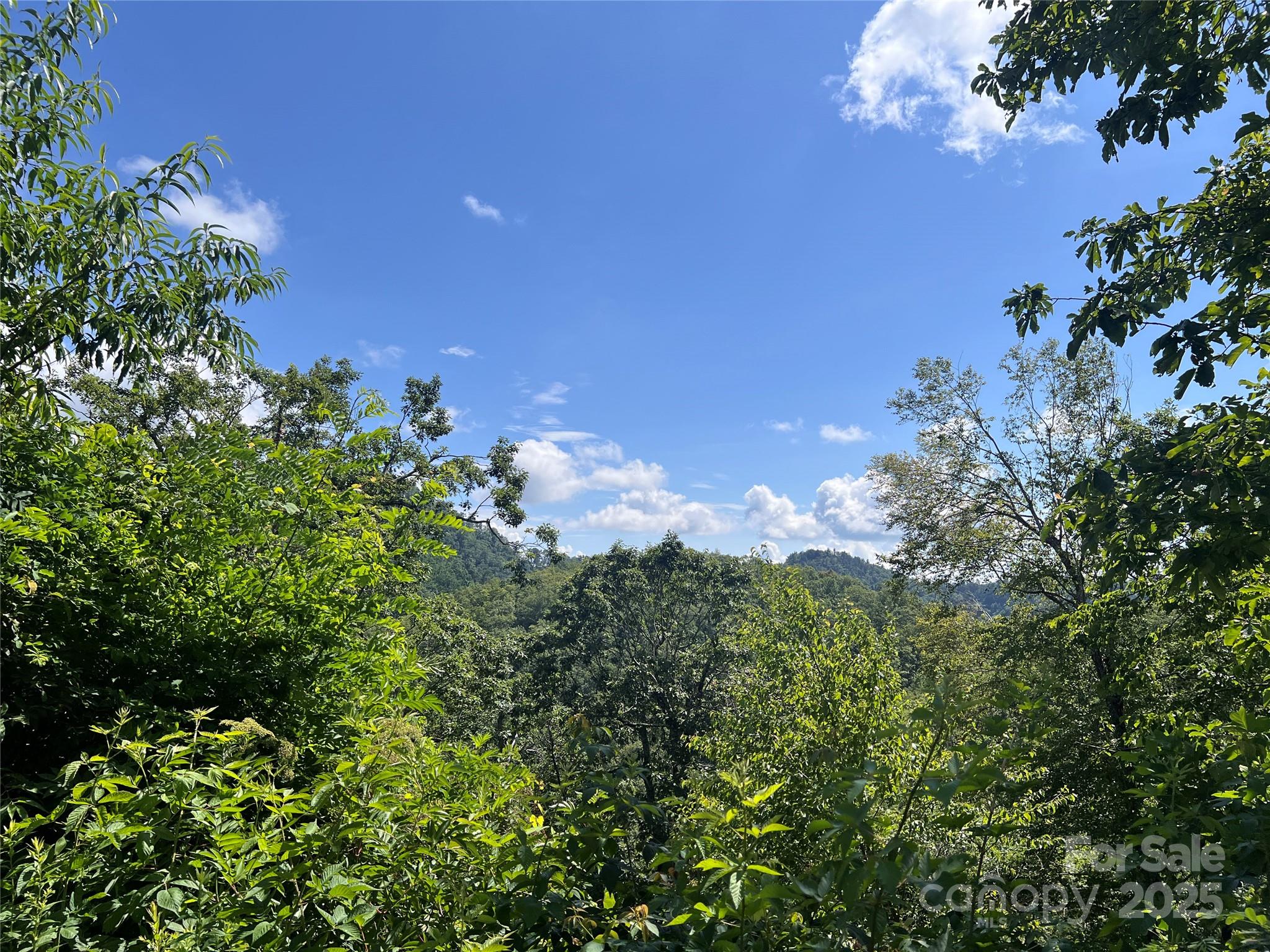 100 Mountain Field Lane Burnsville NC 28714