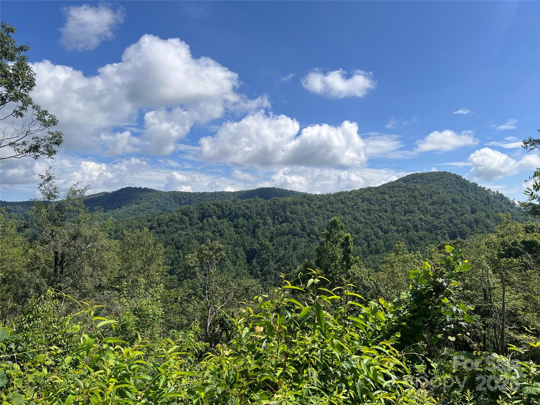 100 Mountain Field Lane Burnsville NC 28714