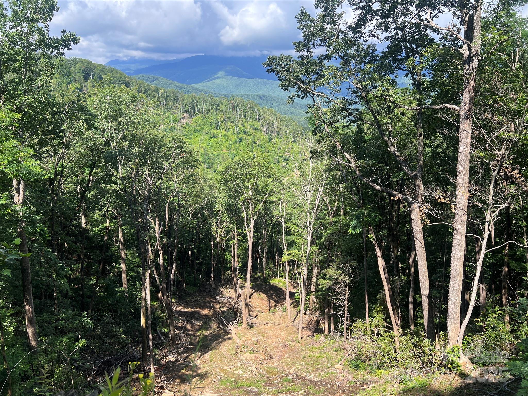 100 Mountain Field Lane Burnsville NC 28714