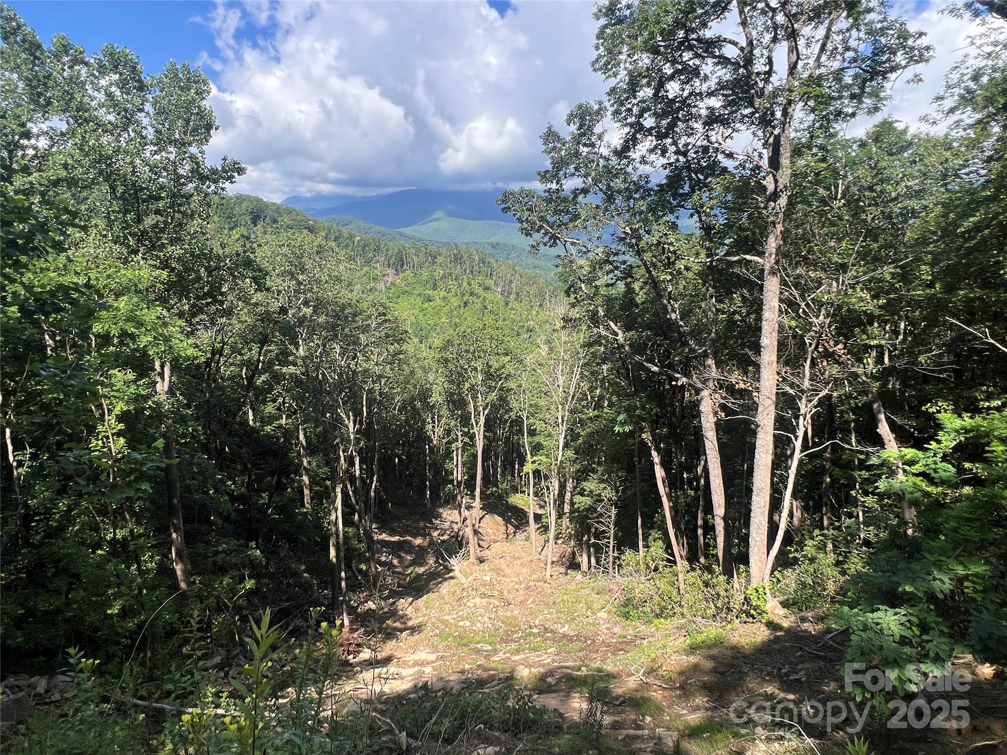100 Mountain Field Lane Burnsville NC 28714