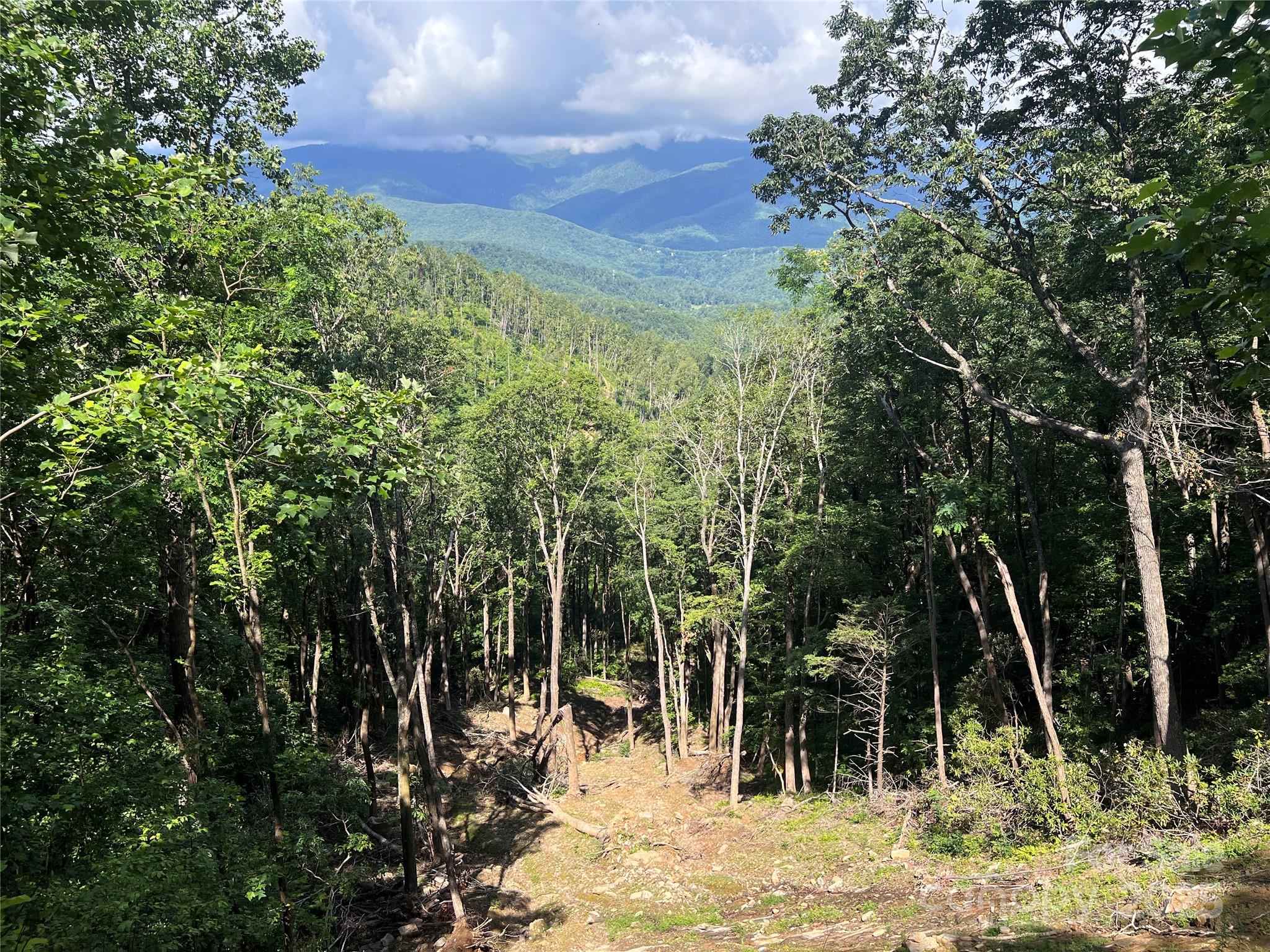 100 Mountain Field Lane Burnsville NC 28714