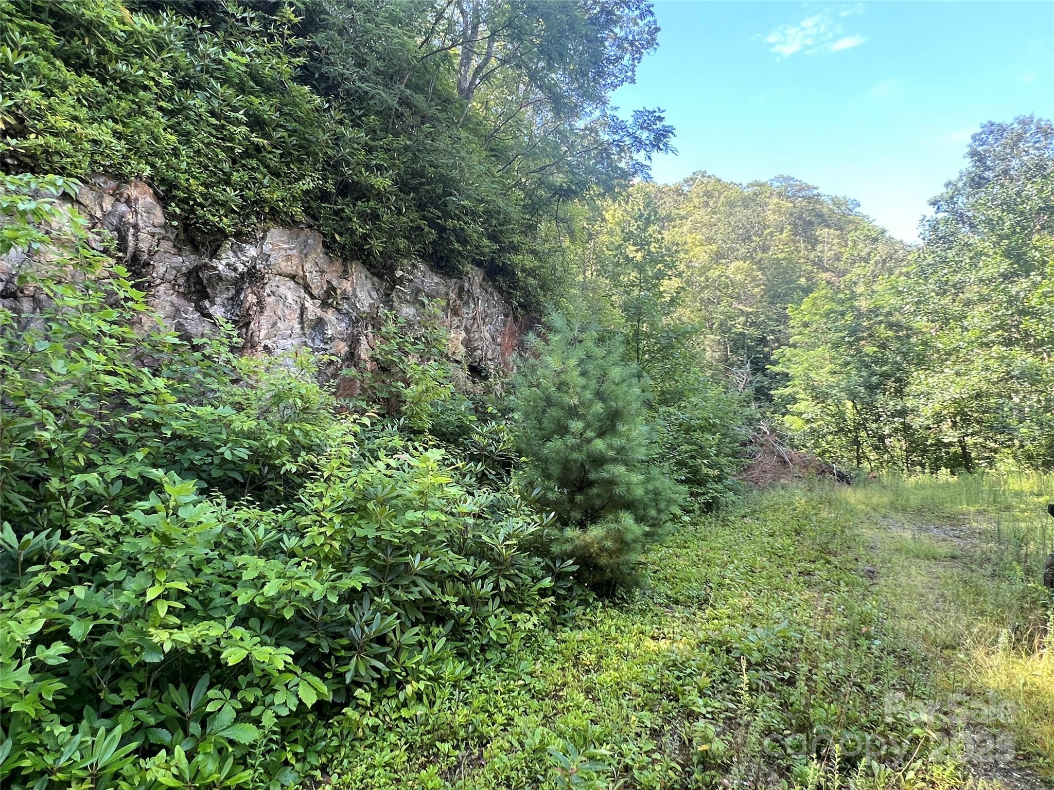 100 Mountain Field Lane Burnsville NC 28714
