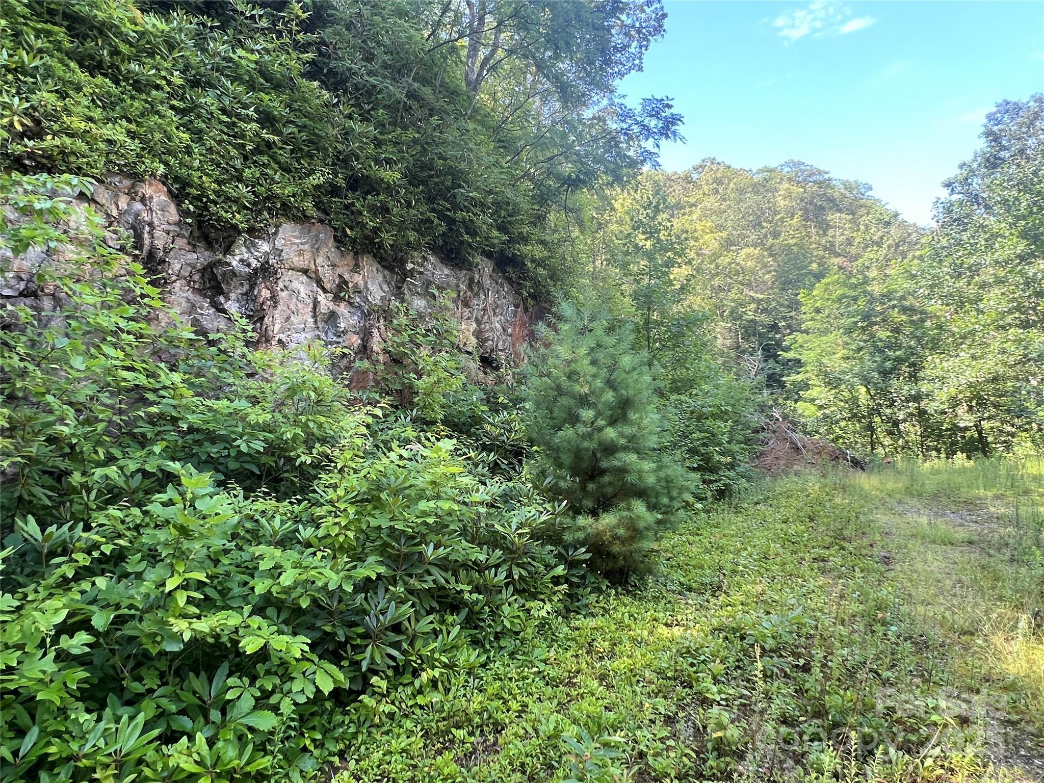 100 Mountain Field Lane Burnsville NC 28714