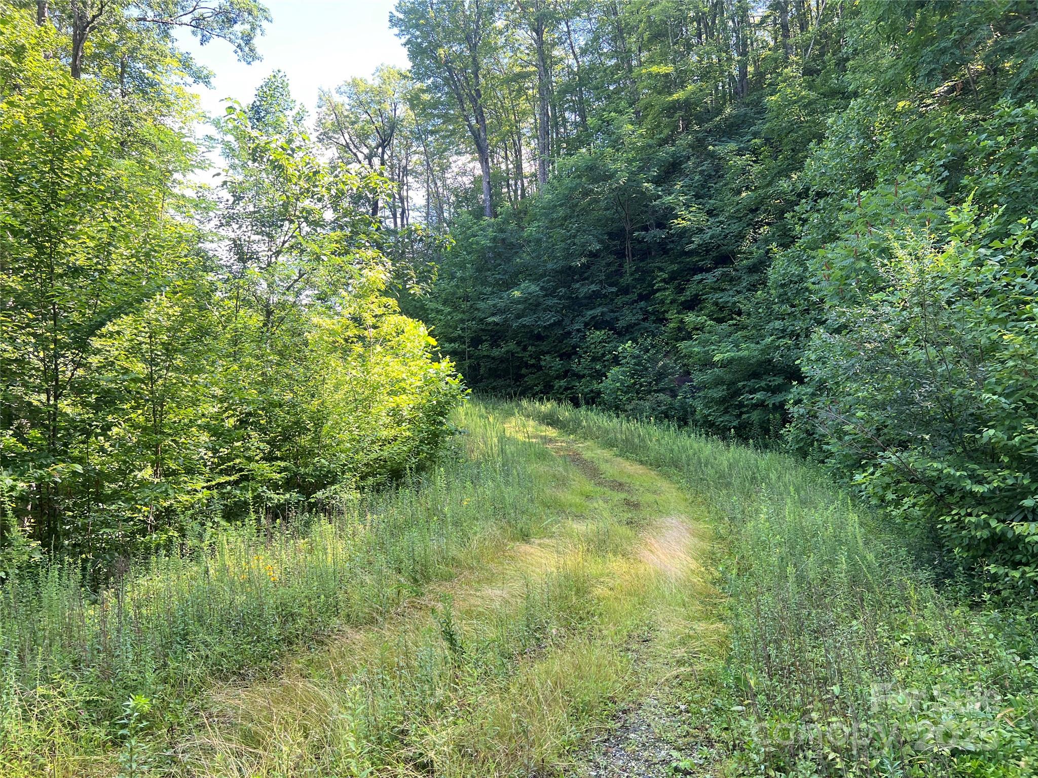 100 Mountain Field Lane Burnsville NC 28714