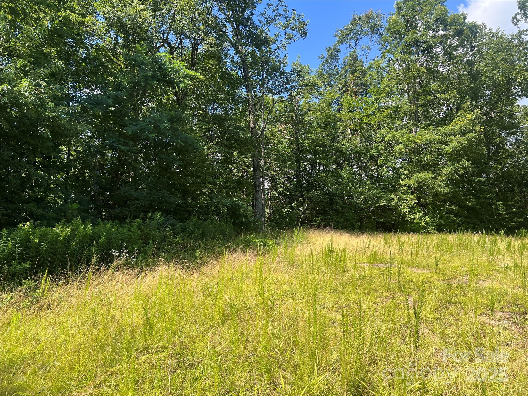 100 Mountain Field Lane Burnsville NC 28714