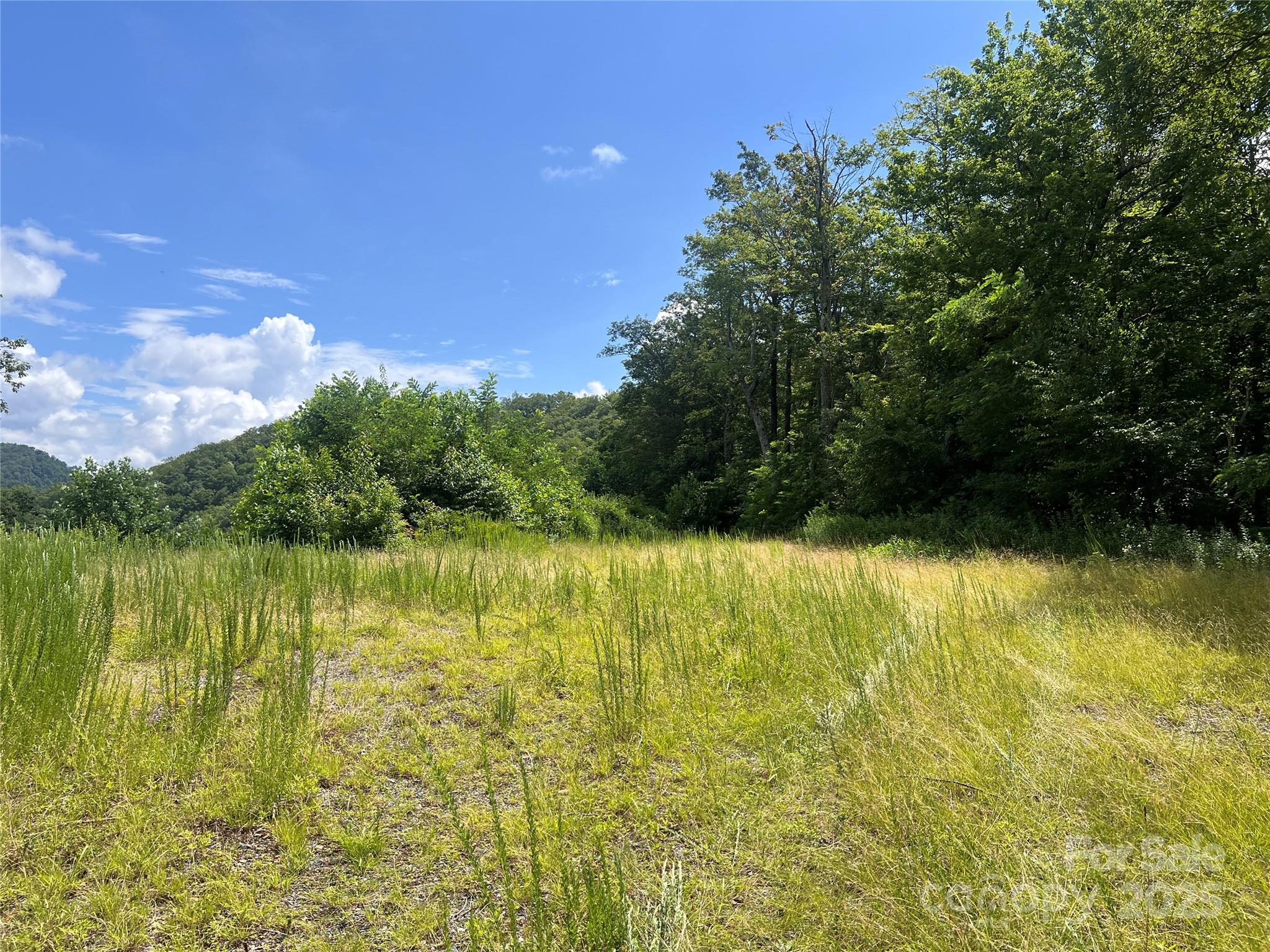 100 Mountain Field Lane Burnsville NC 28714