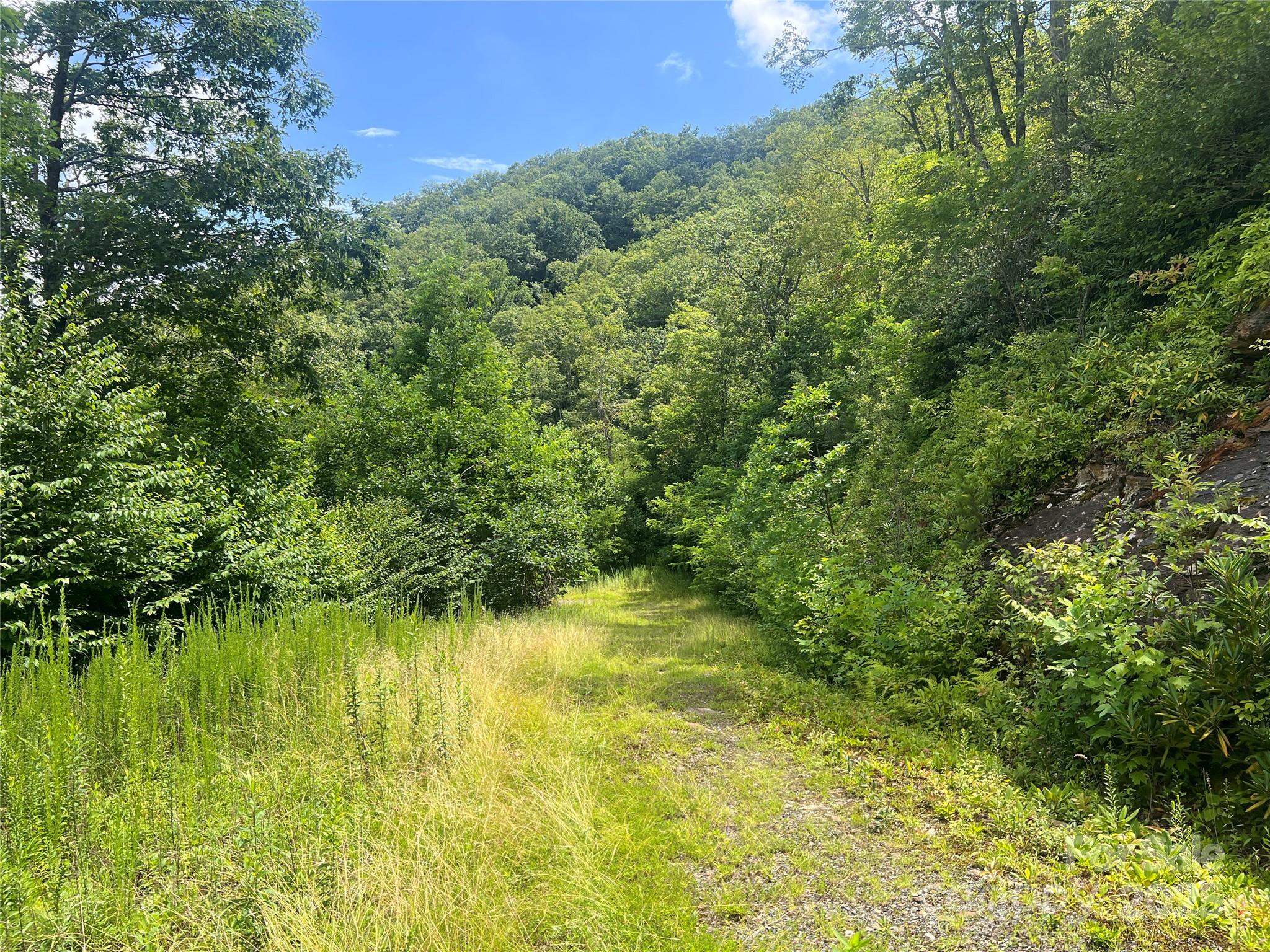 100 Mountain Field Lane Burnsville NC 28714