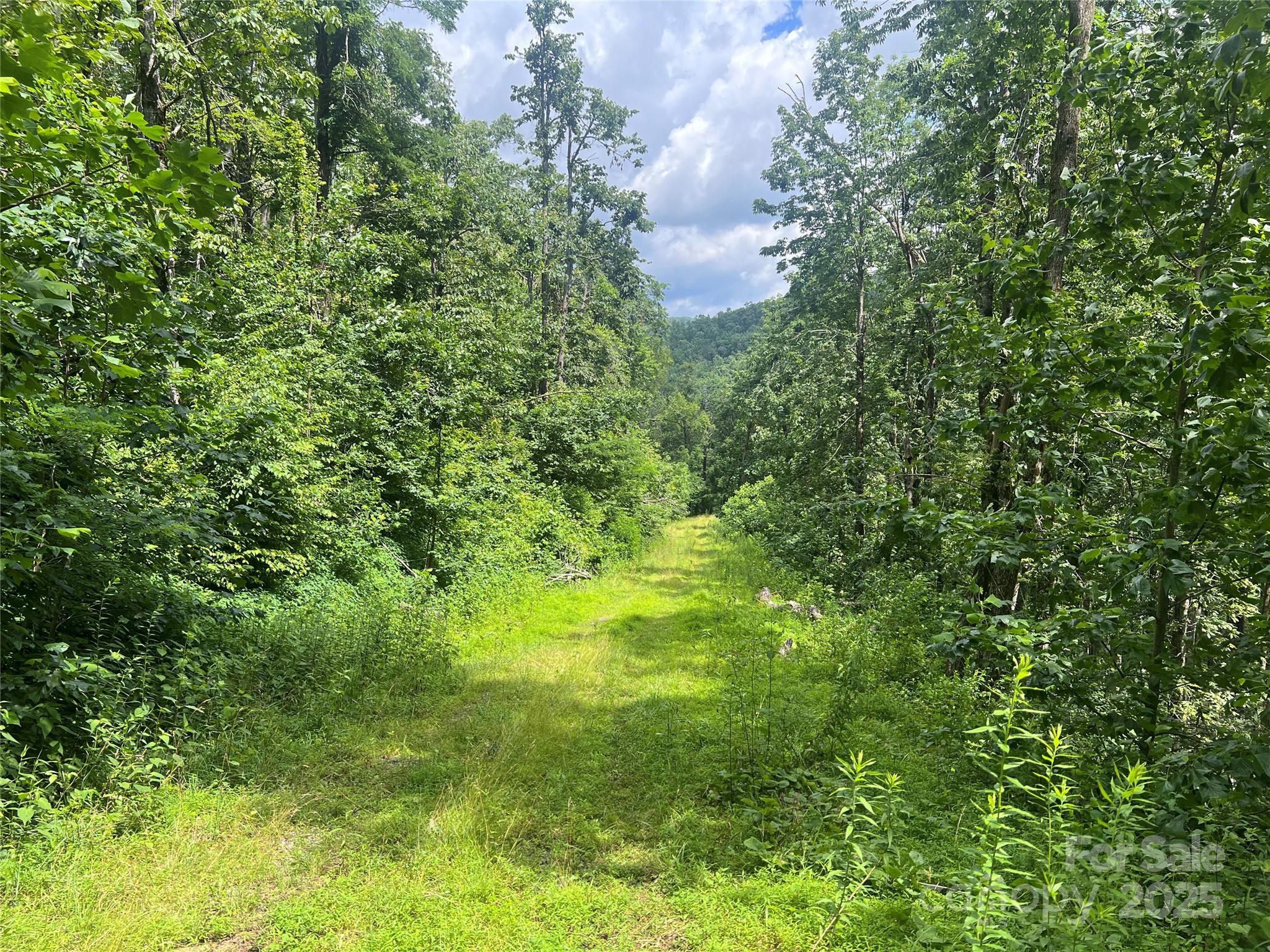 100 Mountain Field Lane Burnsville NC 28714