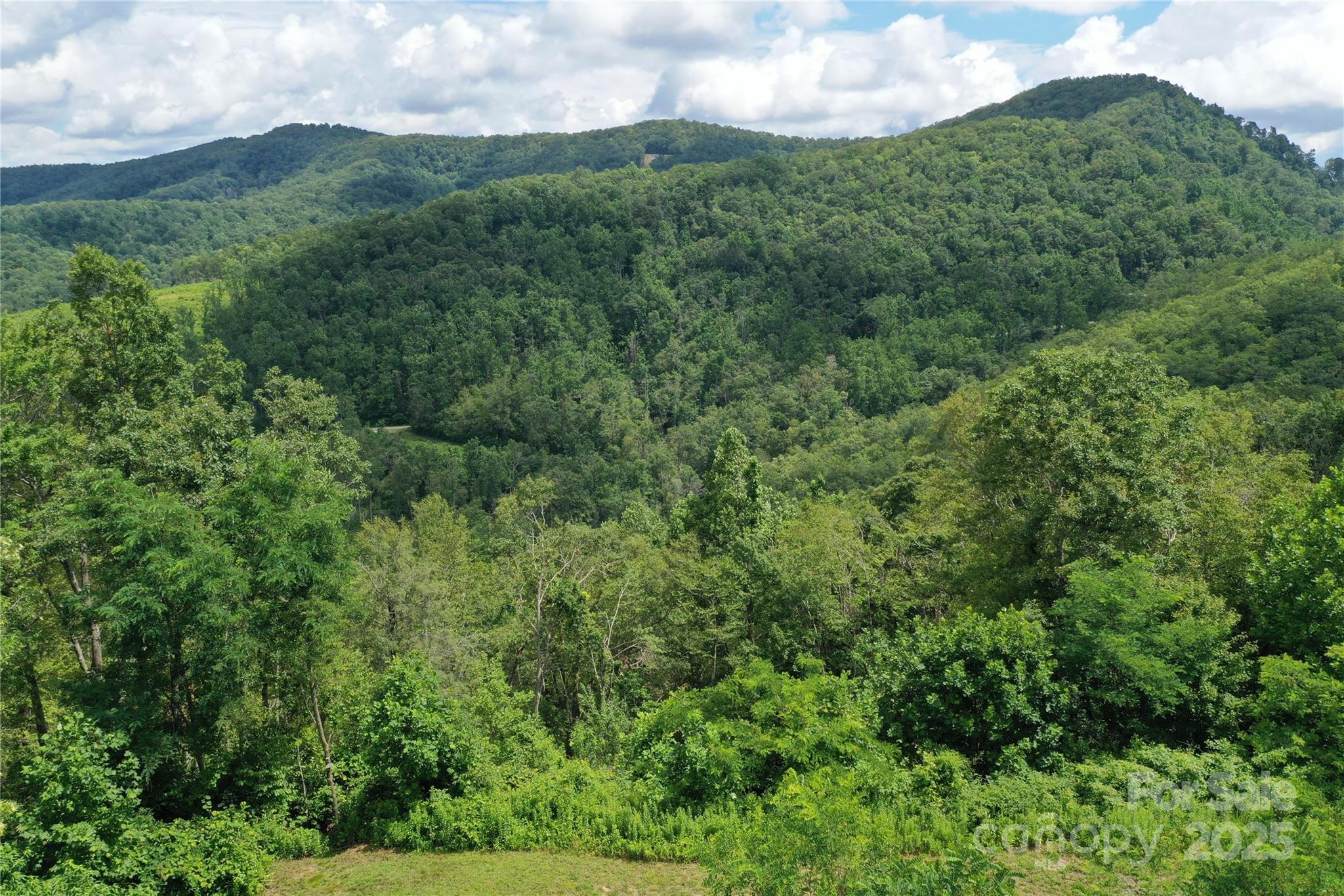 100 Mountain Field Lane Burnsville NC 28714