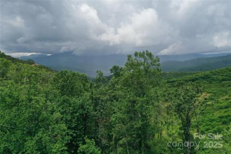 100 Mountain Field Lane Burnsville NC 28714