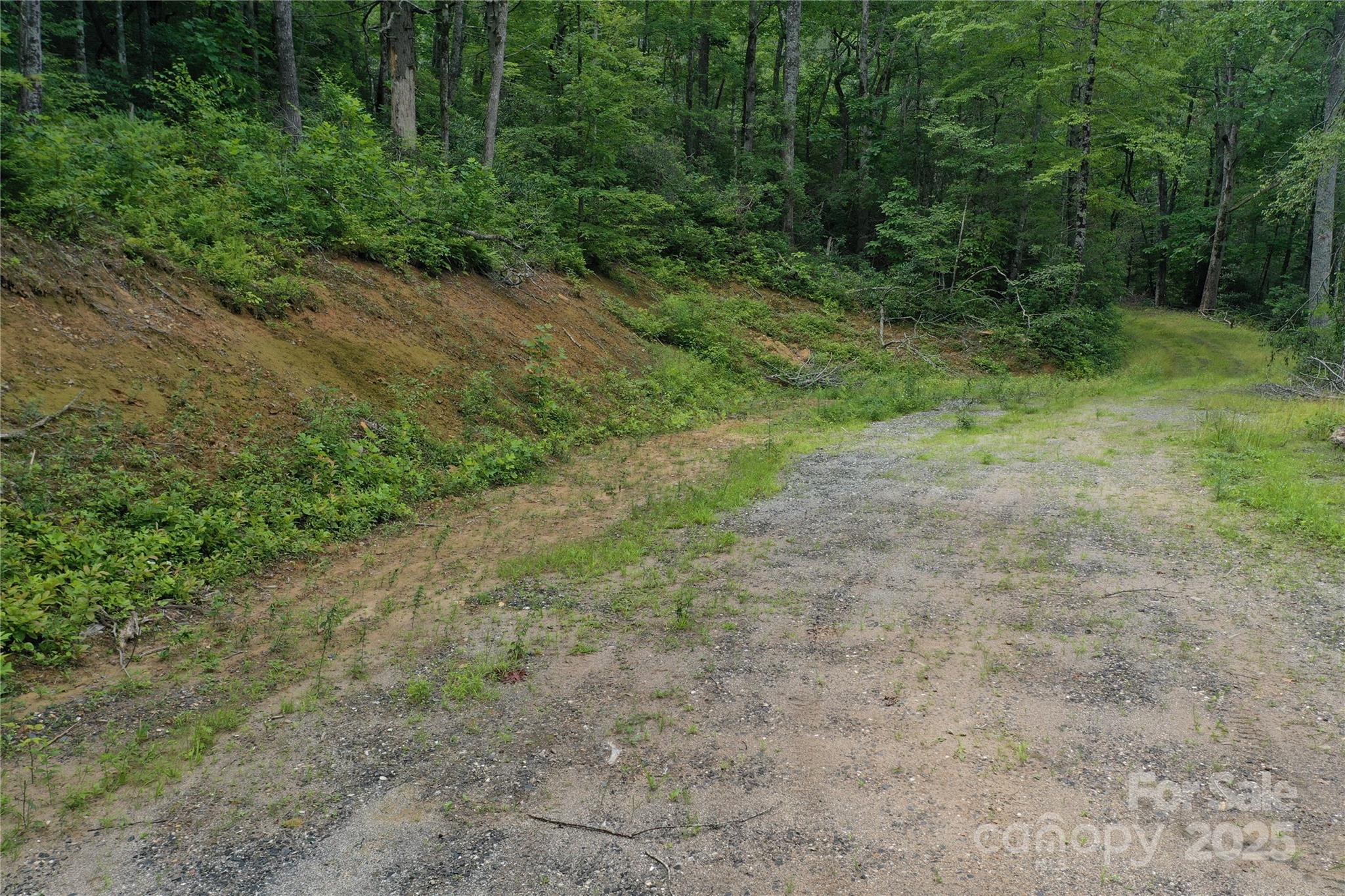 100 Mountain Field Lane Burnsville NC 28714