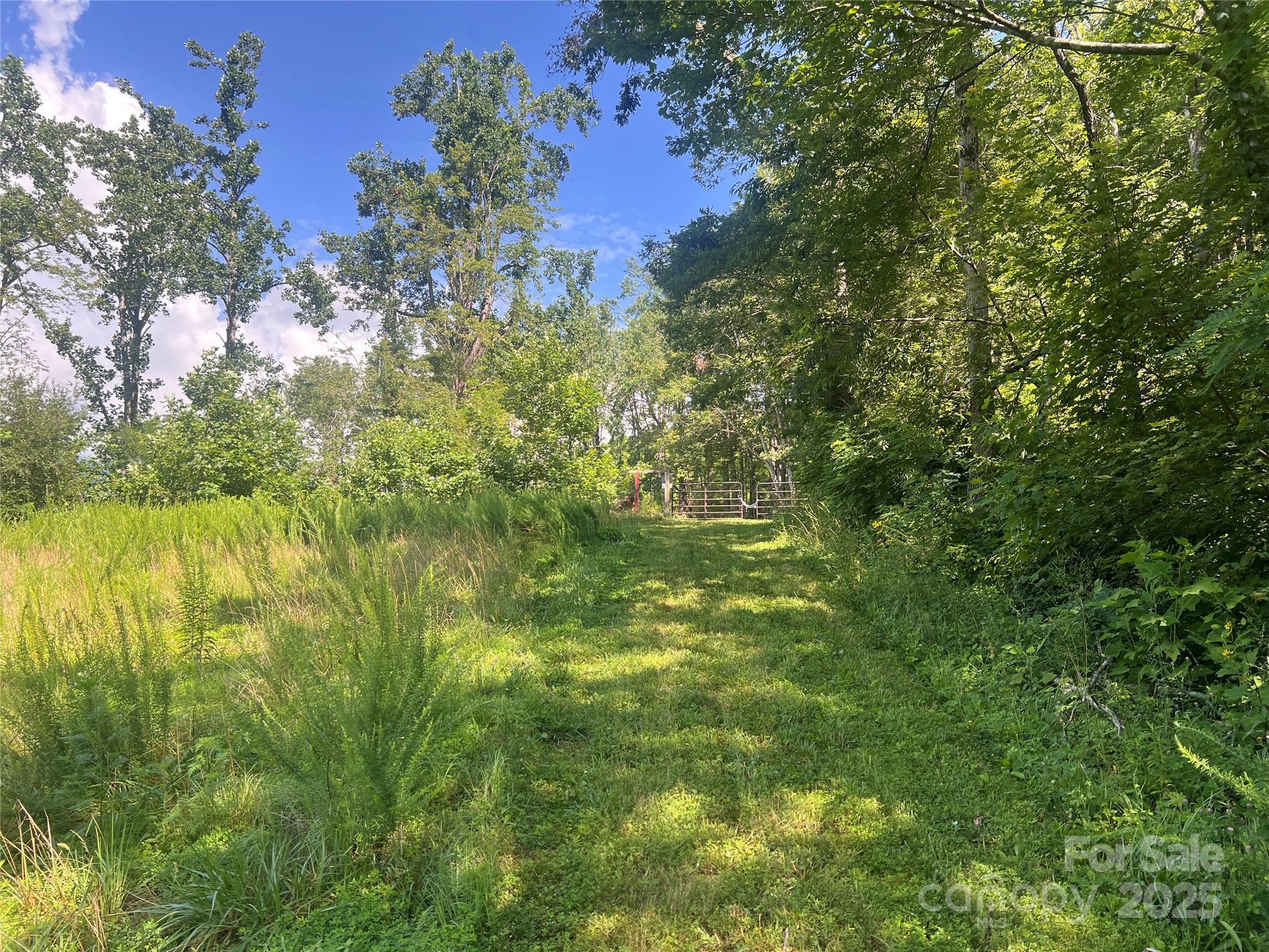 100 Mountain Field Lane Burnsville NC 28714