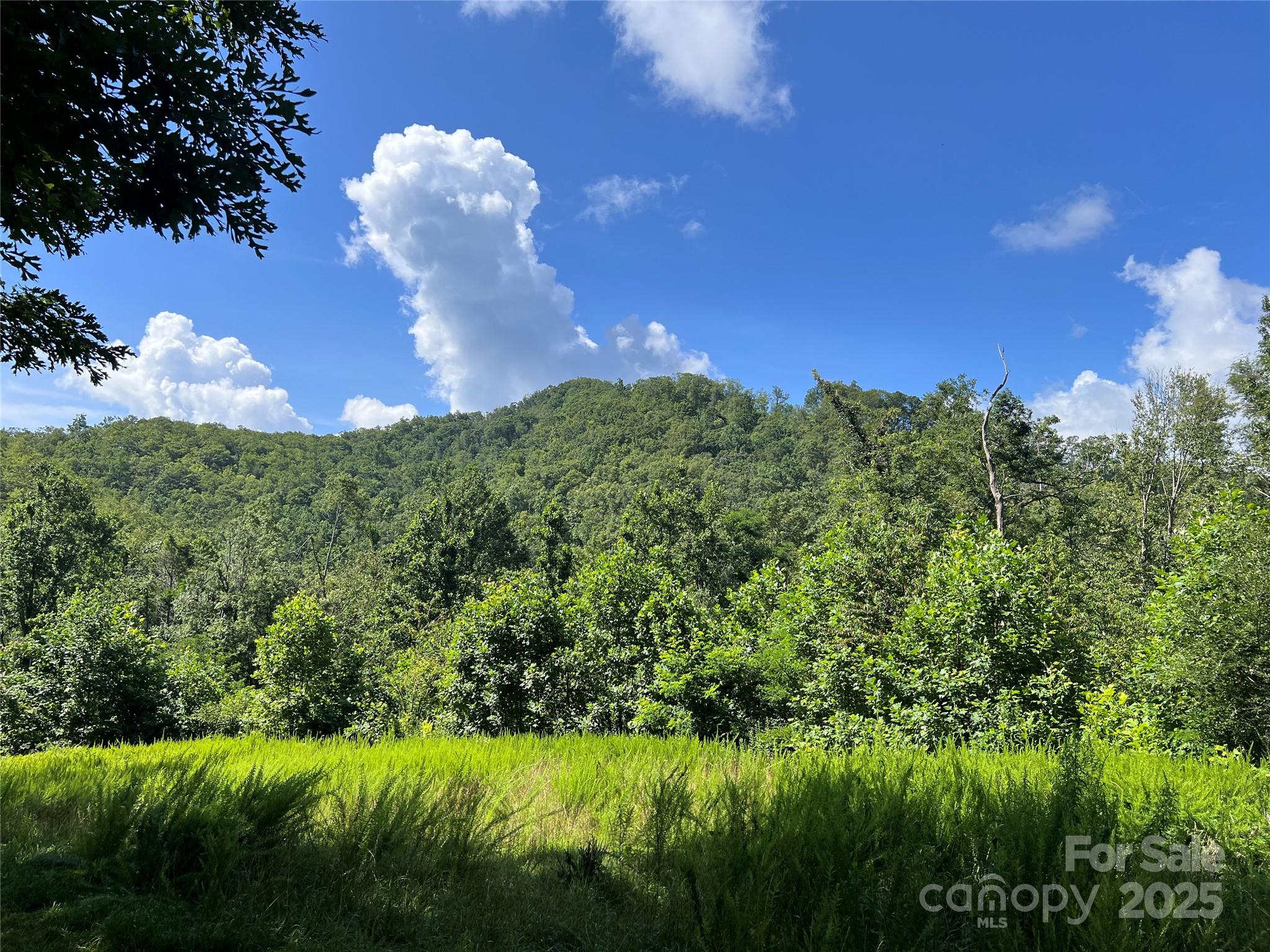 100 Mountain Field Lane Burnsville NC 28714