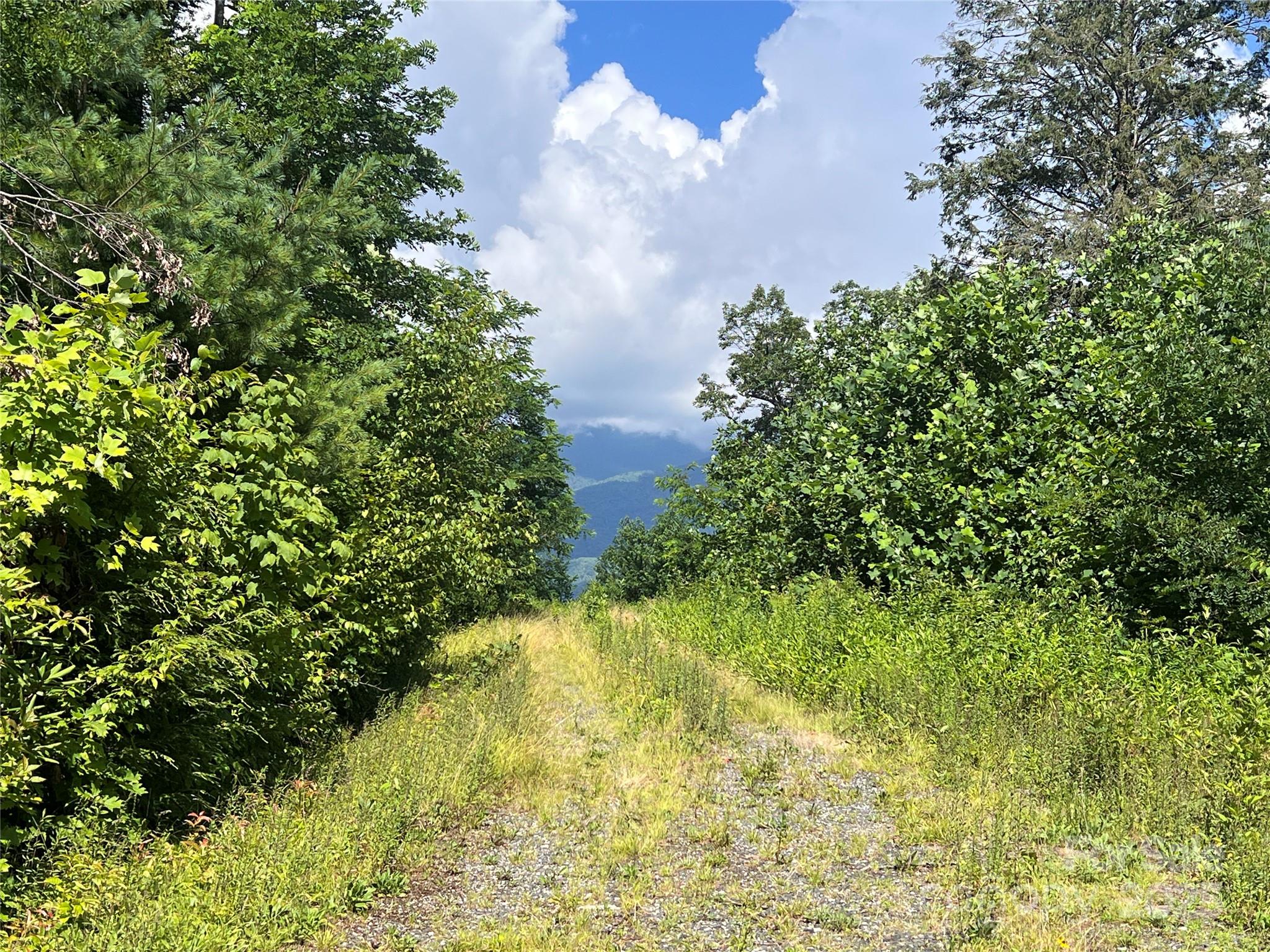 100 Mountain Field Lane Burnsville NC 28714