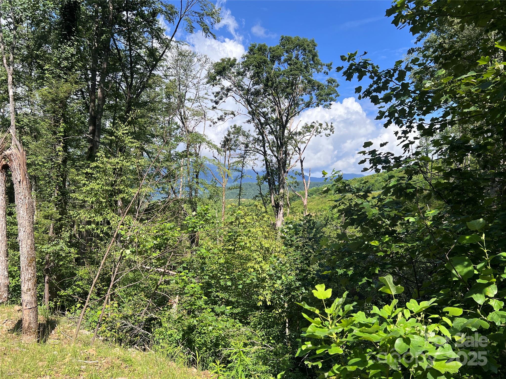 100 Mountain Field Lane Burnsville NC 28714