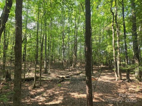 00 Hoke Road Heath Springs SC 29058