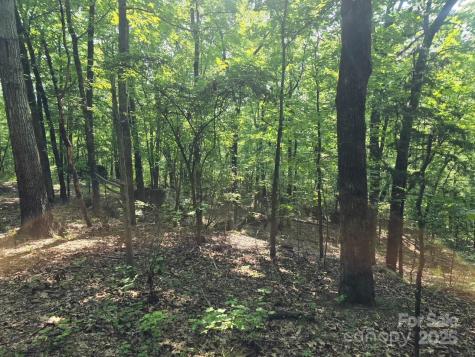 00 Hoke Road Heath Springs SC 29058