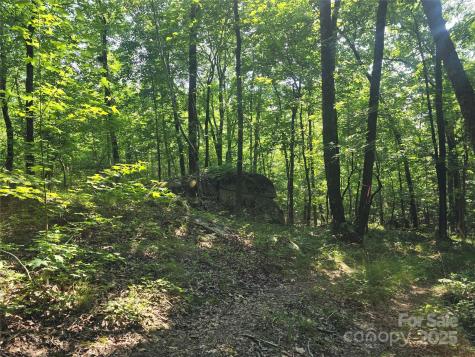 00 Hoke Road Heath Springs SC 29058