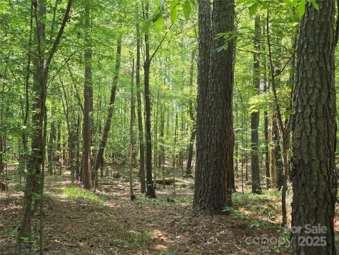 00 Hoke Road Heath Springs SC 29058