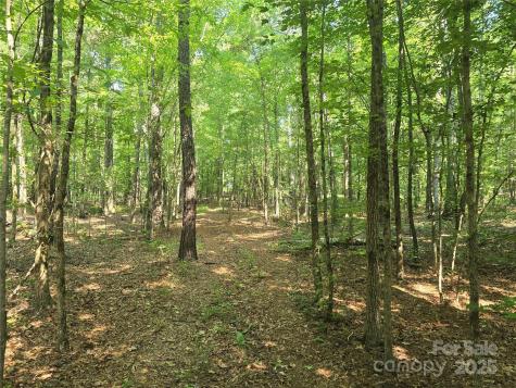 00 Hoke Road Heath Springs SC 29058