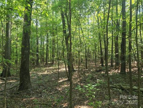 00 Hoke Road Heath Springs SC 29058