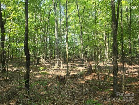 00 Hoke Road Heath Springs SC 29058