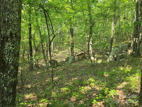 00 Hoke Road Heath Springs SC 29058