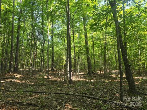 00 Hoke Road Heath Springs SC 29058