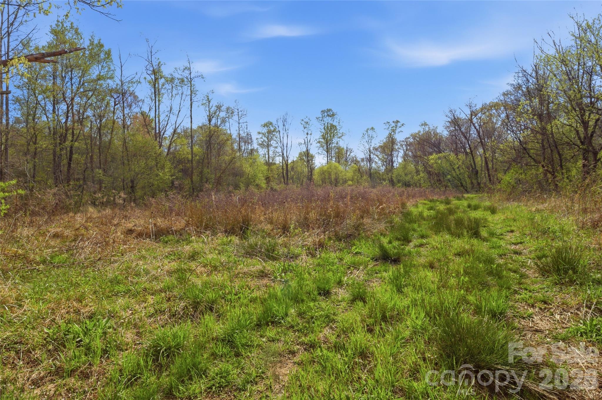 0000 Alf Hoover Road Lincolnton NC 28092