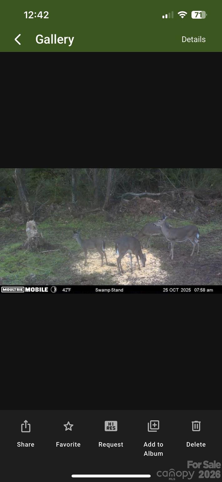 0000 Alf Hoover Road Lincolnton NC 28092