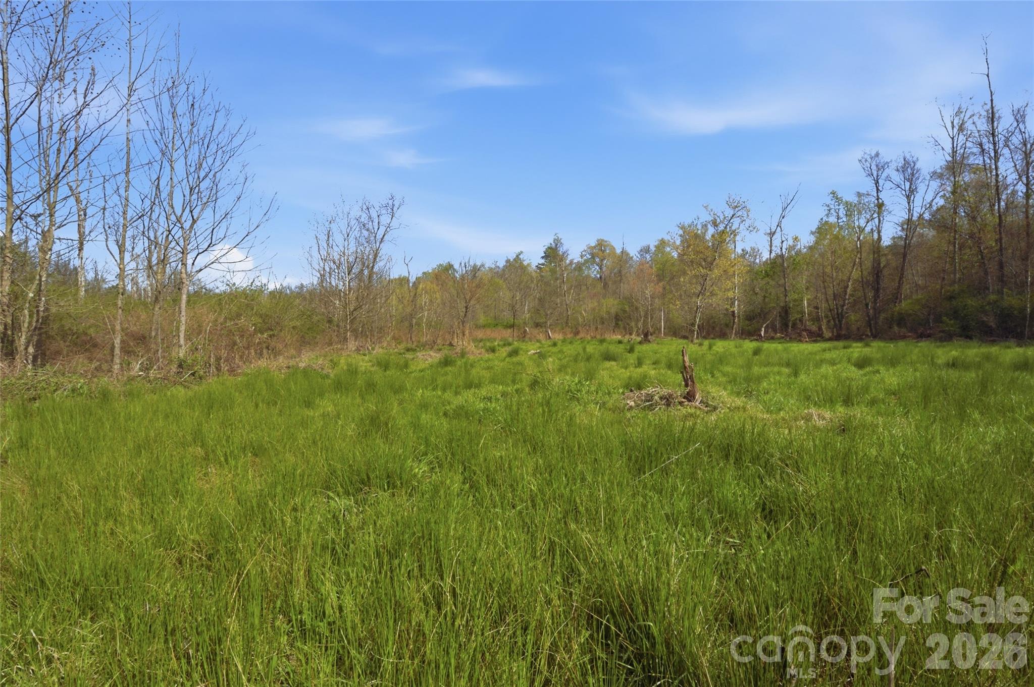 0000 Alf Hoover Road Lincolnton NC 28092