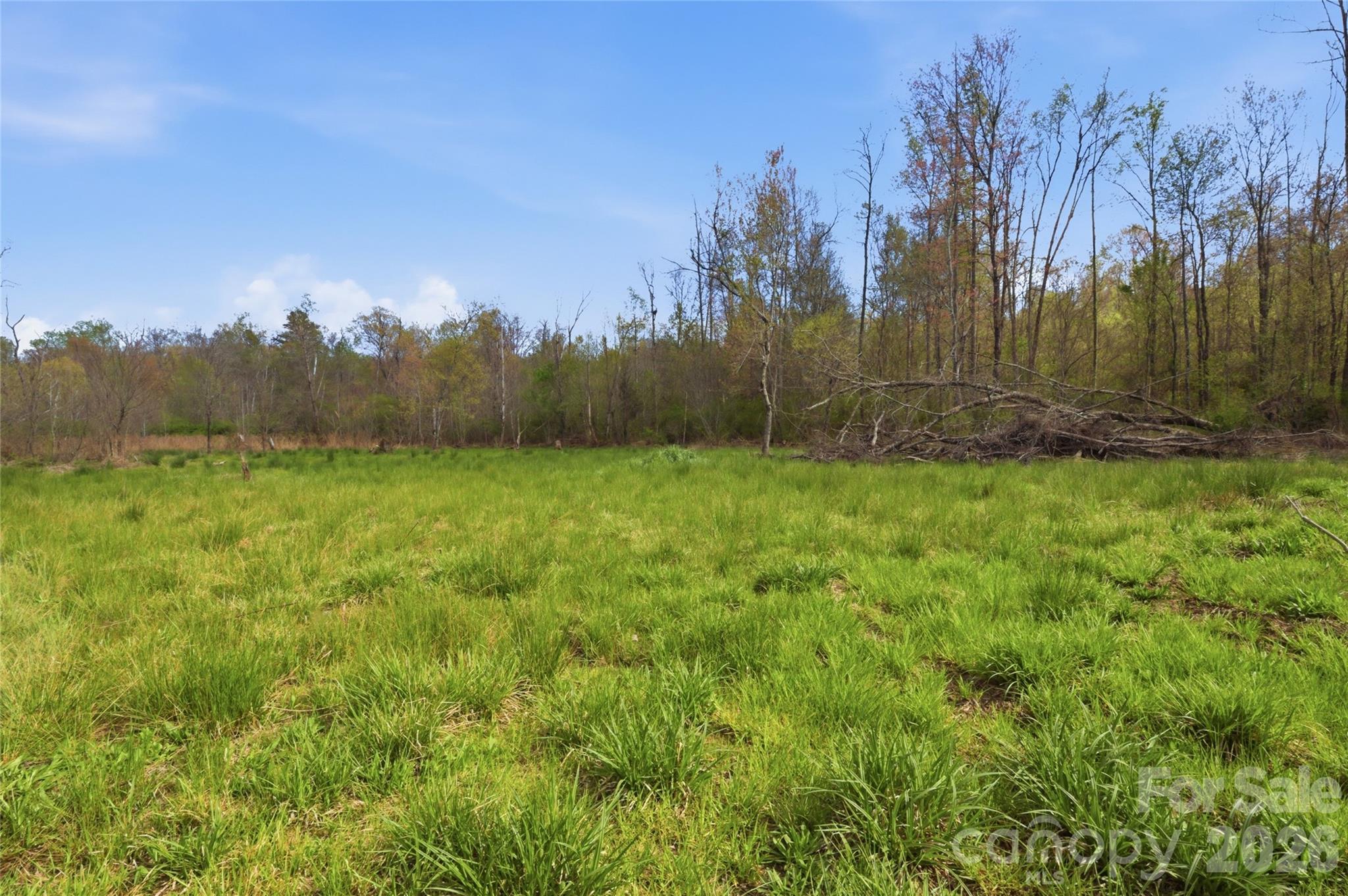 0000 Alf Hoover Road Lincolnton NC 28092