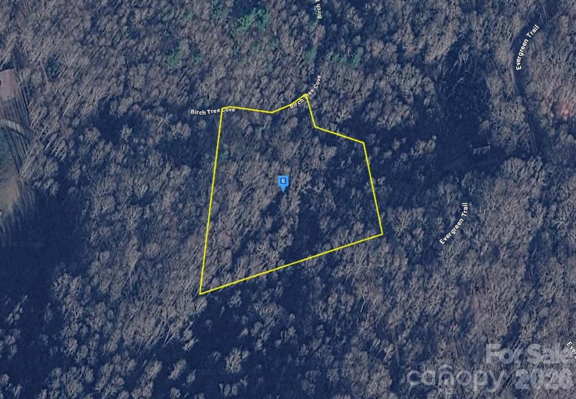 111 Birch Tree Cove Franklin NC 28734