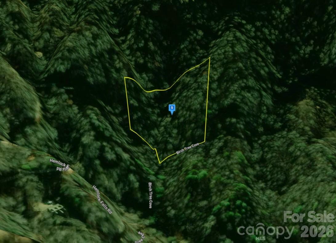 111 Birch Tree Cove Franklin NC 28734
