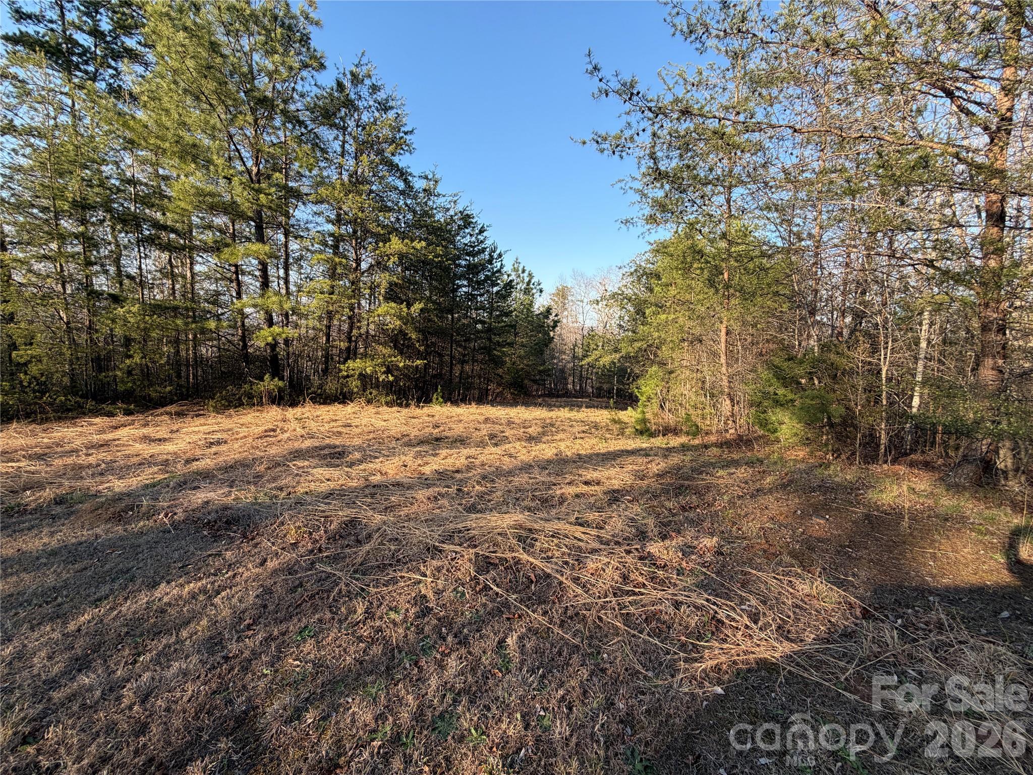 0 Shady Bark Lane Rutherfordton NC 28139