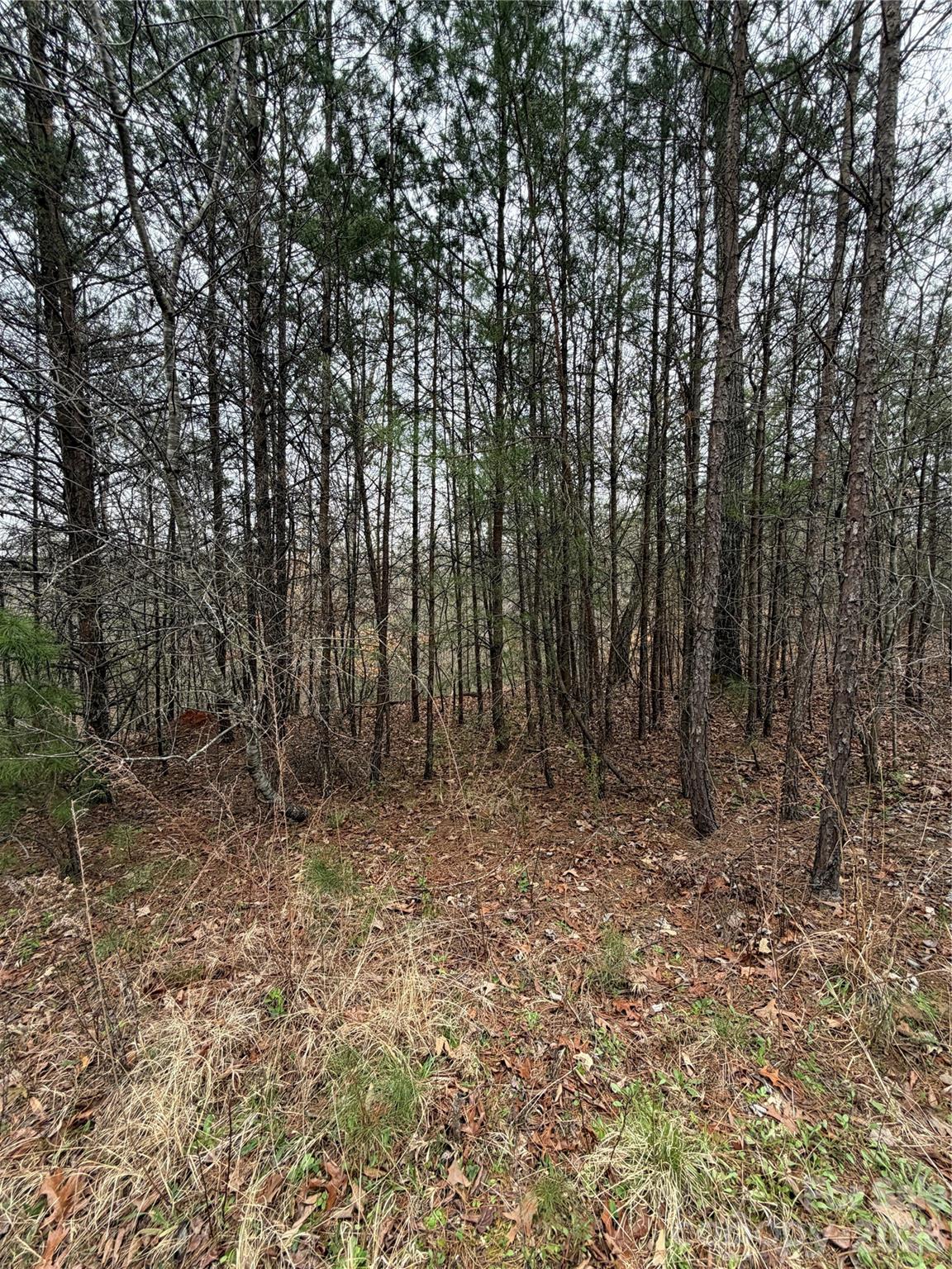 0 Shady Bark Lane Rutherfordton NC 28139