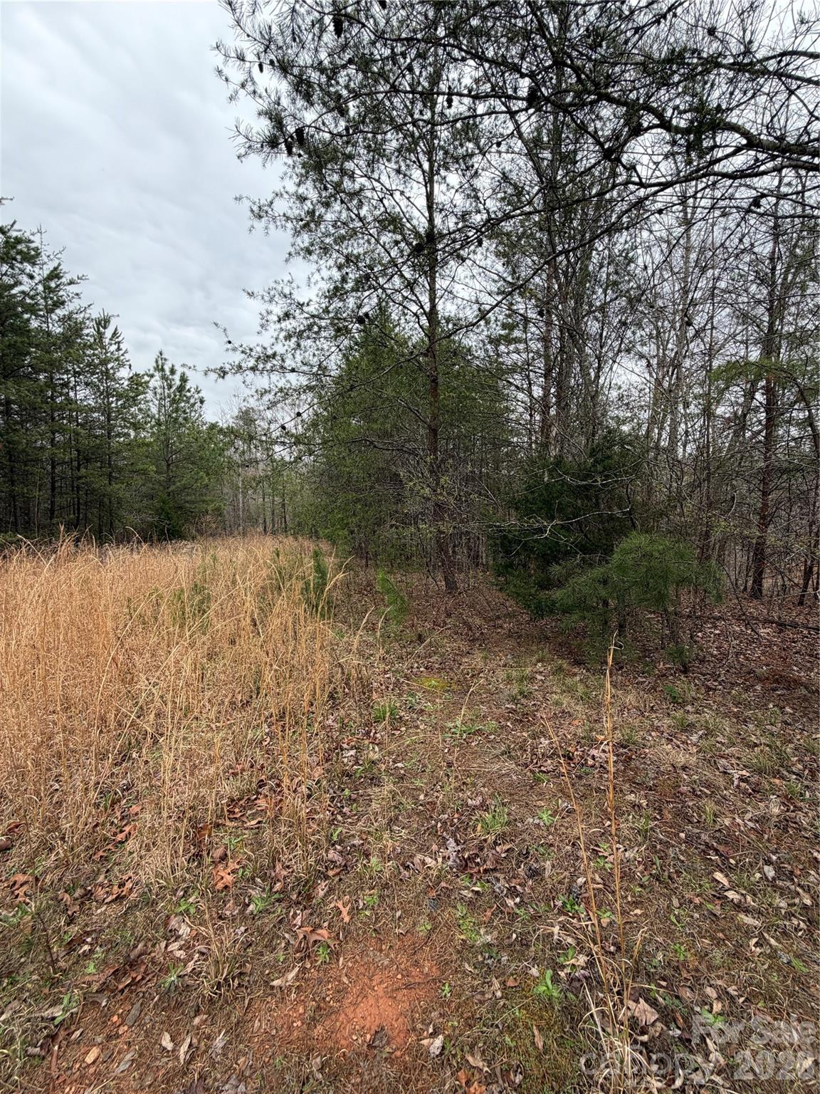 0 Shady Bark Lane Rutherfordton NC 28139