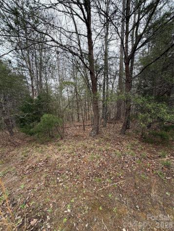 0 Shady Bark Lane Rutherfordton NC 28139