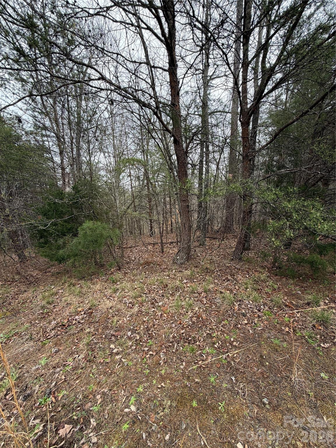 0 Shady Bark Lane Rutherfordton NC 28139