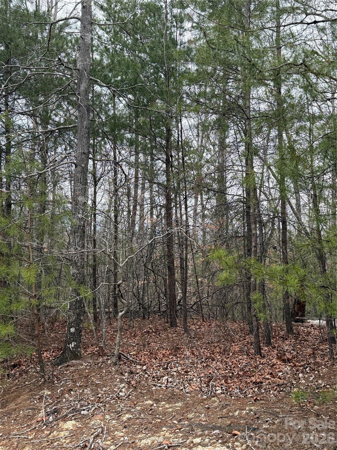 0 Shady Bark Lane Rutherfordton NC 28139